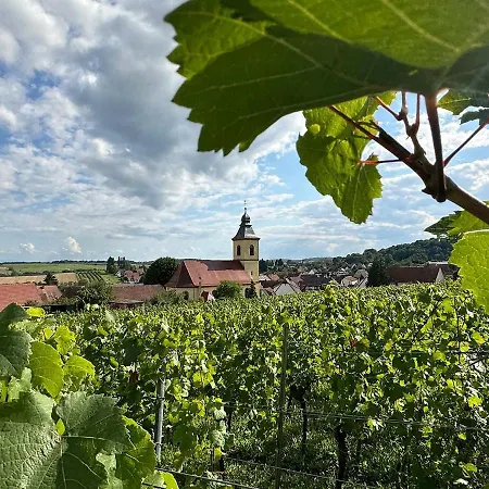 Maison Du Charme - Wissembourg Hébergement de vacances
